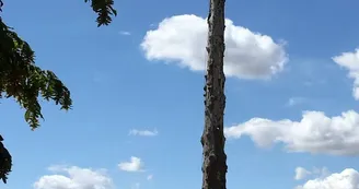 Parc de l'Abrégement