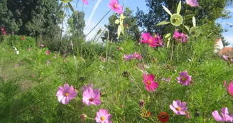 Jardins éphémères et maison de l'eau