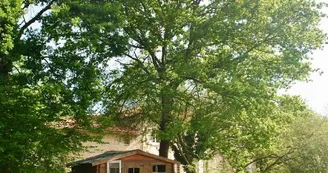 Moulin sous la vergne