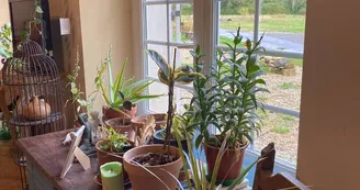 Moulin sous la vergne