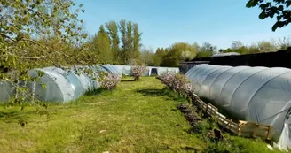 Visite de la ferme de Spiruline du domaine d'Echoisy
