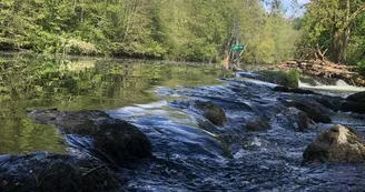 Les Reflets de la Charente