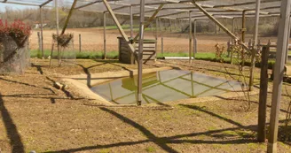 Le sanctuaire des poids plumes