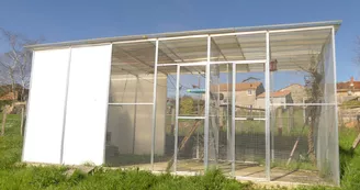 Le sanctuaire des poids plumes