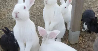 Le sanctuaire des poids plumes