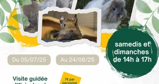 Le sanctuaire des poids plumes