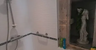 Les Oies Sauvages "Wild Geese"