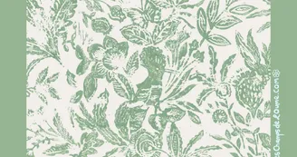 Les Champs de l'Oume "L'oumé Lodge"