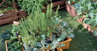 Gîte "les Bruyères"