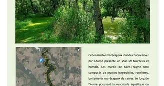 Les Marais de St Fraigne