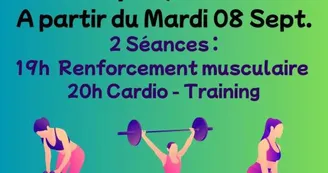 Gym - Fitness