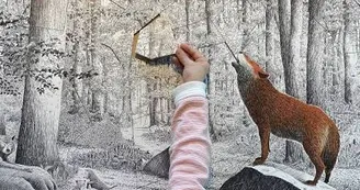 Exposition "il était une fois le loup"