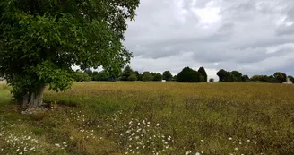Sentier de la Diligence - Vars