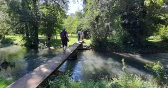 passerelle sur la Charente