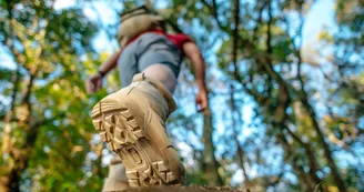 Sentier des châtaigniers - Nanteuil-en-Vallée