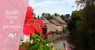 Balade Nature et Patrimoine_Verteuil-sur-Charente