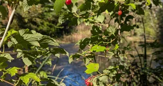 Sentier des gouffres - Les Gours_Les Gours