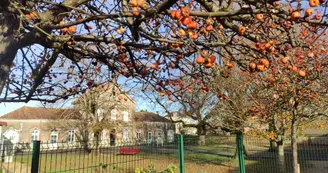 Balade Nature & Patrimoine La Faye
