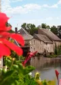 Balade Nature et Patrimoine_Verteuil-sur-Charente