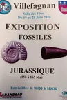 Exposition de fossiles
